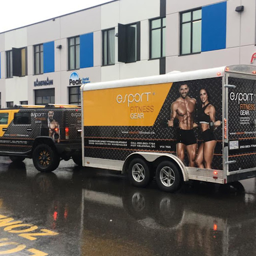 Vehicle Graphics